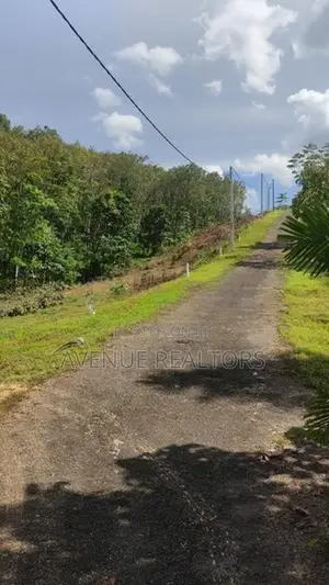 400 Perch Land for Sale in Kosgama (LA4750)