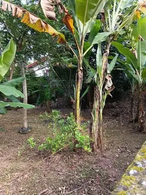 Land for Sale Hokandara