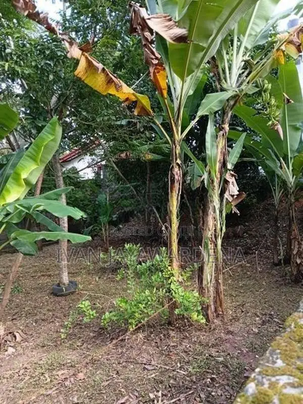 Land for Sale Hokandara