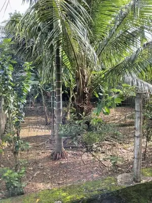 Land for Sale Hokandara