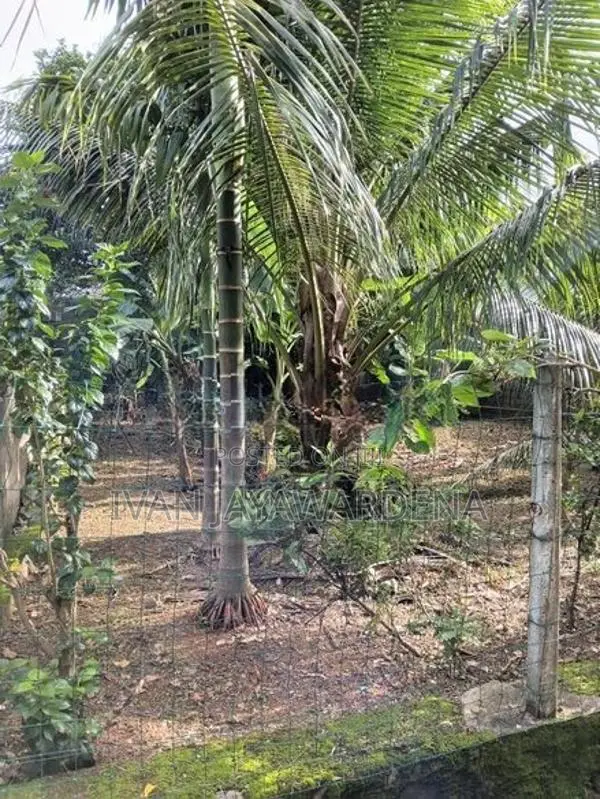 Land for Sale Hokandara
