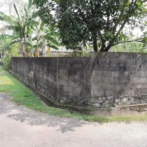 12. පචස් අනර්ඝ ඉඩමක් කොට්ටාවෙන්