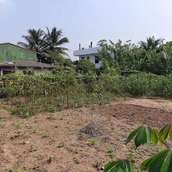 12. පචස් අනර්ඝ ඉඩමක් කොට්ටාවෙන්