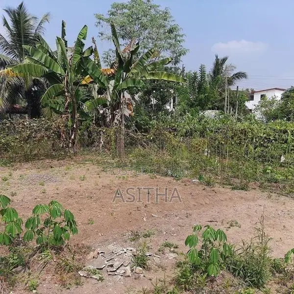 12. පචස් අනර්ඝ ඉඩමක් කොට්ටාවෙන්
