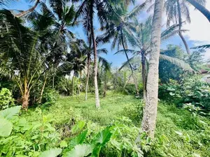 20 Perches Valuable Land for Sale in Homagama