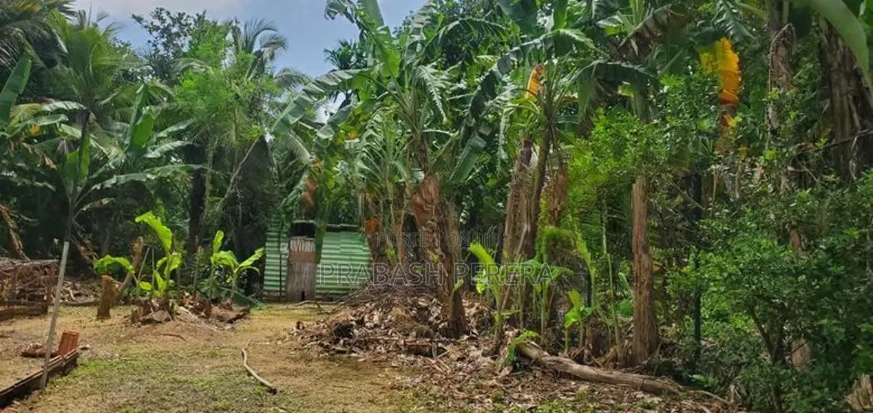 Super Land for Sale Maharagama