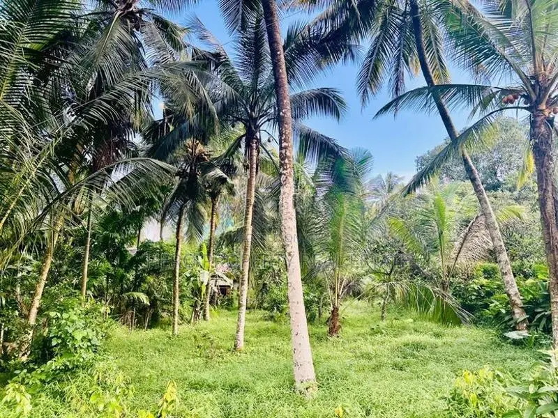 20 Perches Valuable Land for Sale in Homagama
