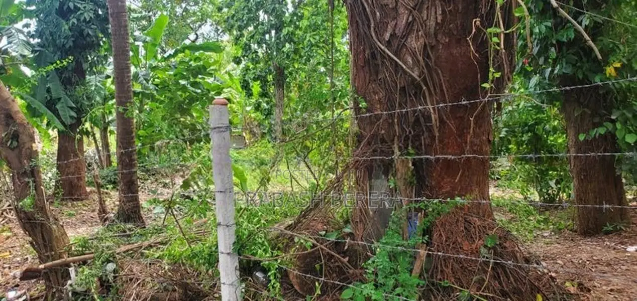 Super Land for Sale Maharagama