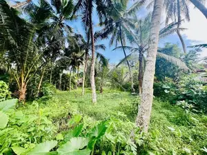 20 Perches Valuable Land for Sale in Homagama