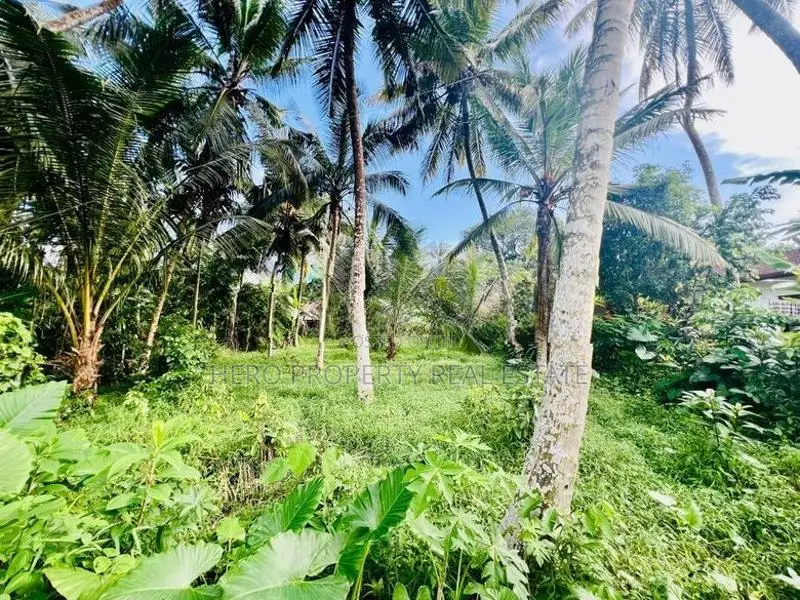 20 Perches Valuable Land for Sale in Homagama