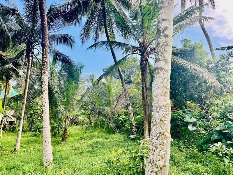 20 Perches Valuable Land for Sale in Homagama