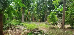 Super Land for Sale Maharagama