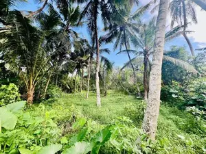 20 Perches Valuable Land for Sale in Homagama