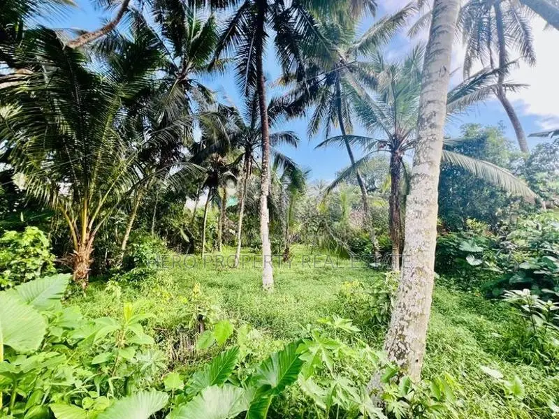 20 Perches Valuable Land for Sale in Homagama