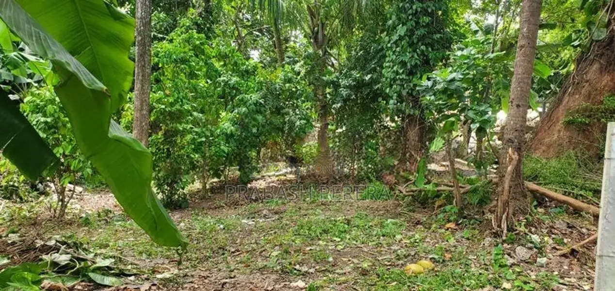 Super Land for Sale Maharagama