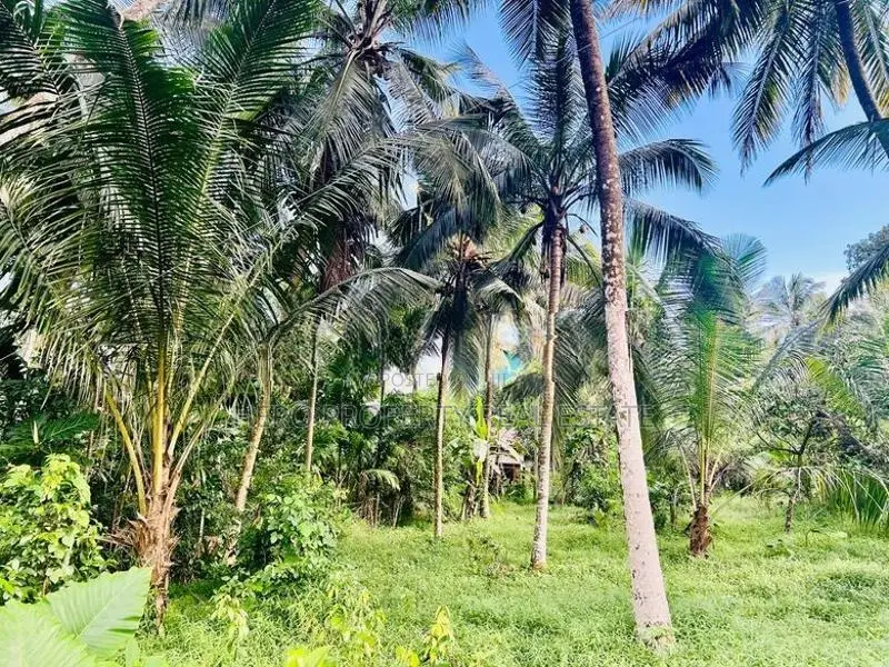 20 Perches Valuable Land for Sale in Homagama
