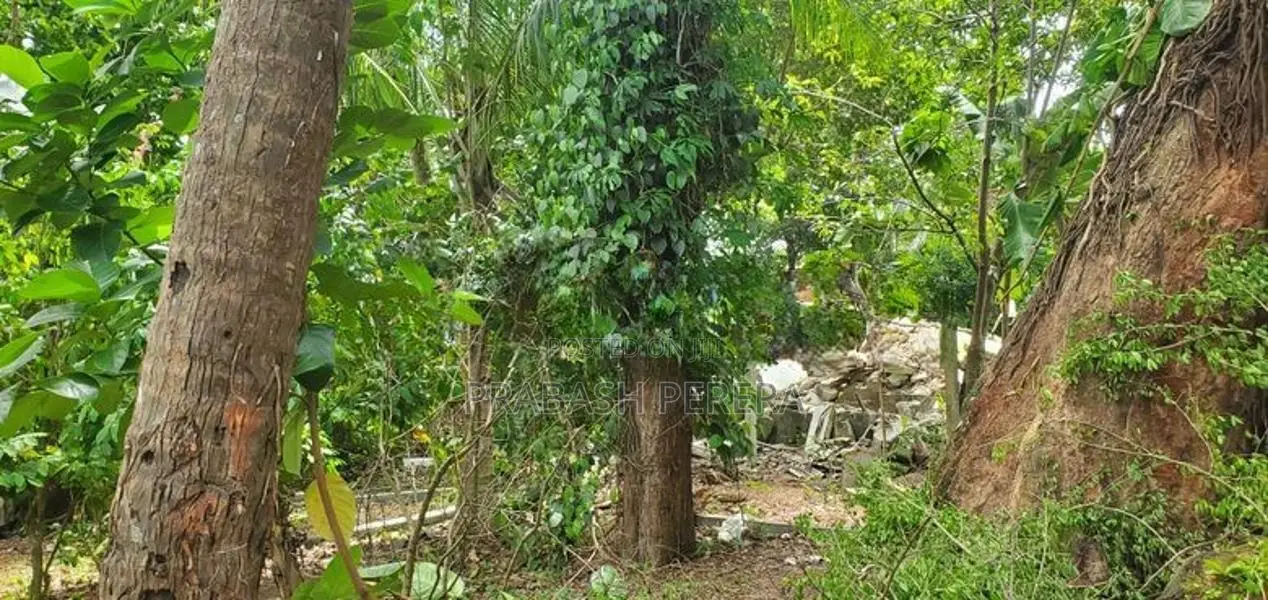 Super Land for Sale Maharagama