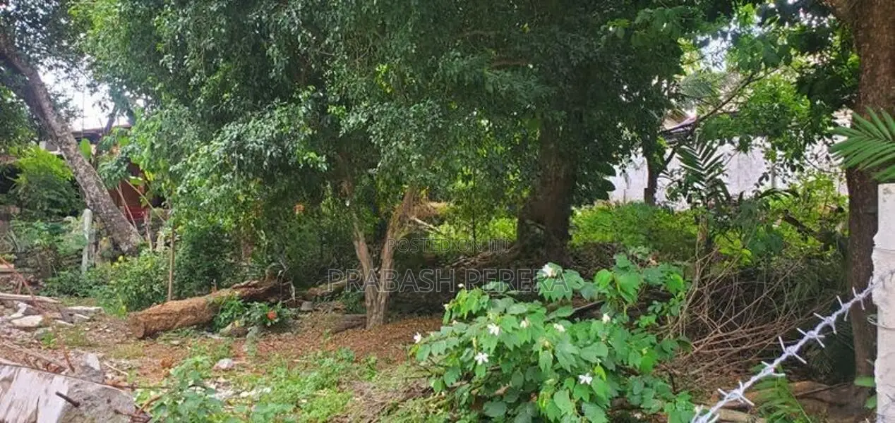 Super Land for Sale Maharagama