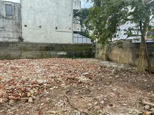 6P - 12P Land For Sale In Rathmalana Borupana Road