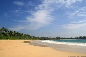 29 P Tourism Land for Sale In Talalla CGGG-A1