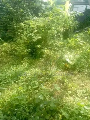 Land For Sale Angoda