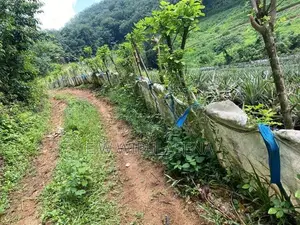 15 acres LAND for SALE in Avissawella