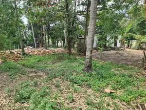 Commercial Property for sale in Rajasinghe Mawatha,Malabe -(LS2000)