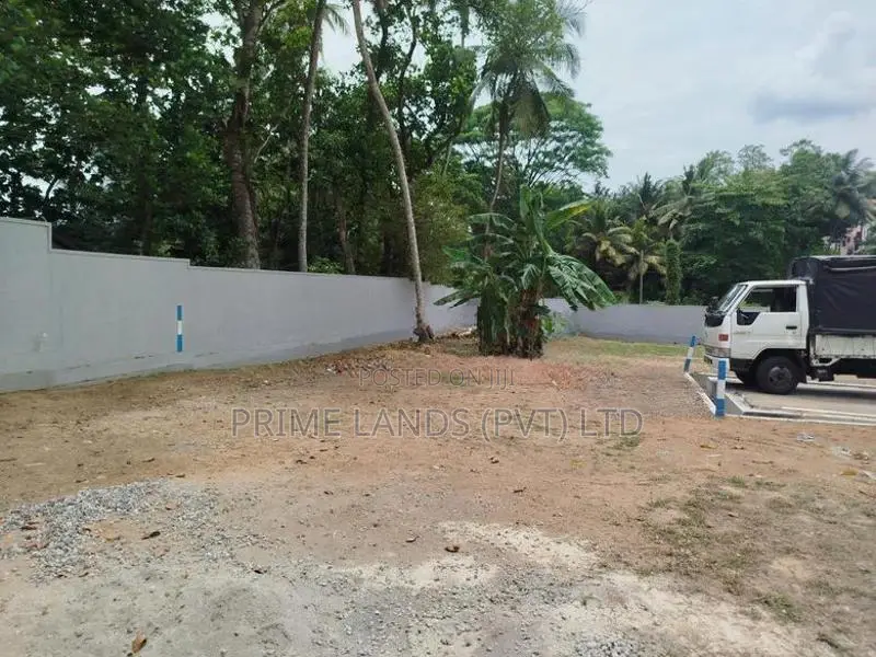 පන්නිපිටිය බිම් කොටසක් විකිණීමට