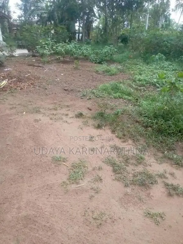 Land For Sale Angoda