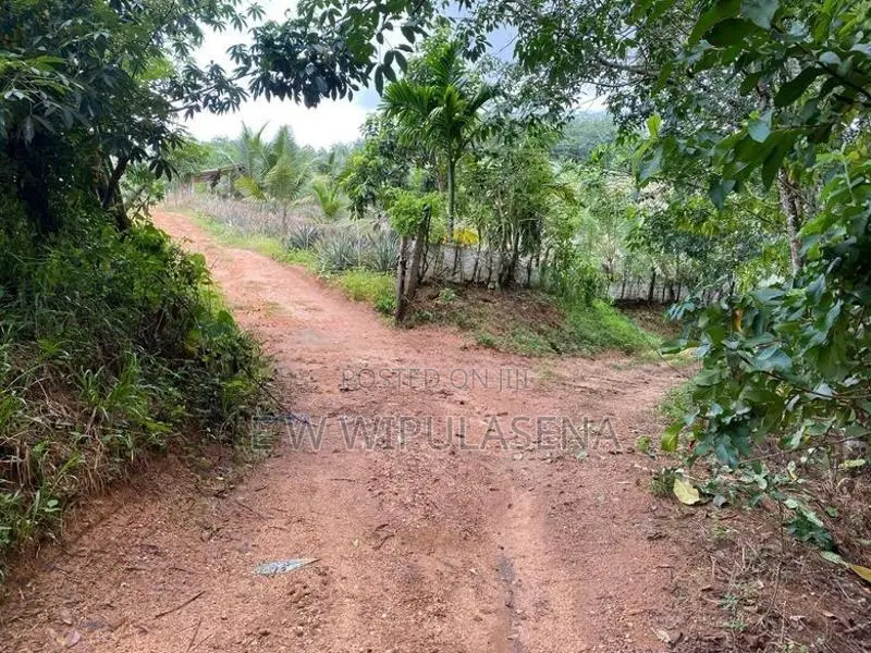 15 acres LAND for SALE in Avissawella
