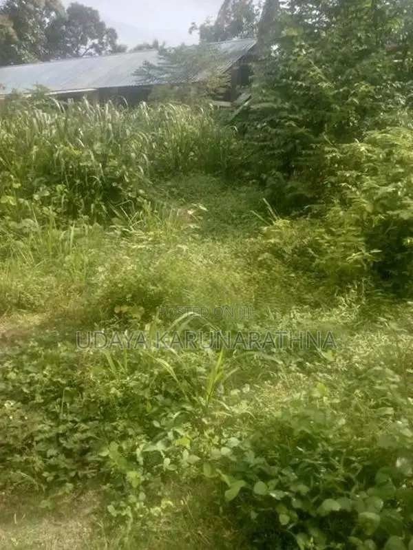 Land For Sale Angoda