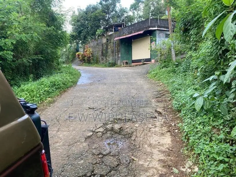 15 acres LAND for SALE in Avissawella