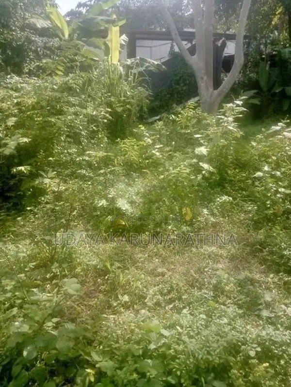 Land For Sale Angoda