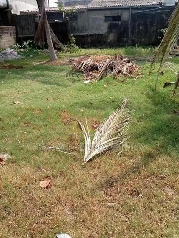 Land for Sale Wennawaththa