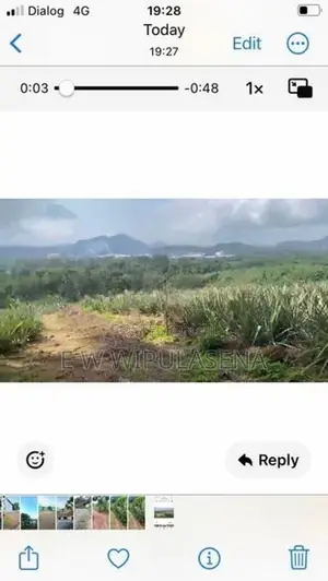 15 acres LAND for SALE in Avissawella