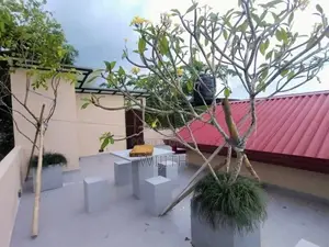 BEAUTIFUL HOUSE FOR SALE CLOSE TO HIGHLEVEL ROAD