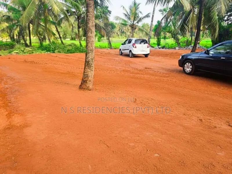 Paddy Field Facing Land Plots in Pasyala Y 41