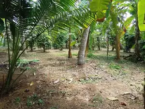 Nainamadama - 60 Perches Land for Sale (SSPL-479)
