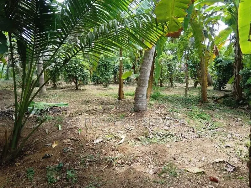 Nainamadama - 60 Perches Land for Sale (SSPL-479)