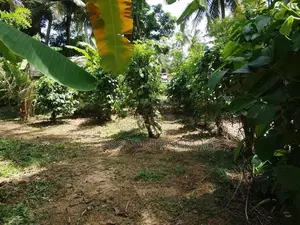 Nainamadama - 60 Perches Land for Sale (SSPL-479)