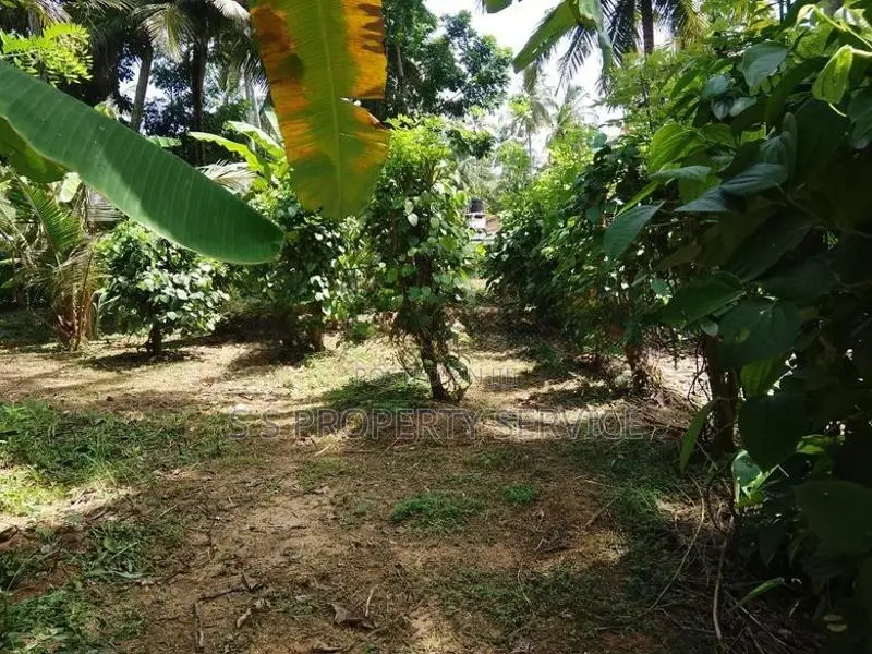 Nainamadama - 60 Perches Land for Sale (SSPL-479)