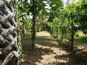 Nainamadama - 60 Perches Land for Sale (SSPL-479)