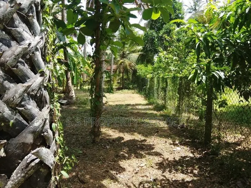 Nainamadama - 60 Perches Land for Sale (SSPL-479)