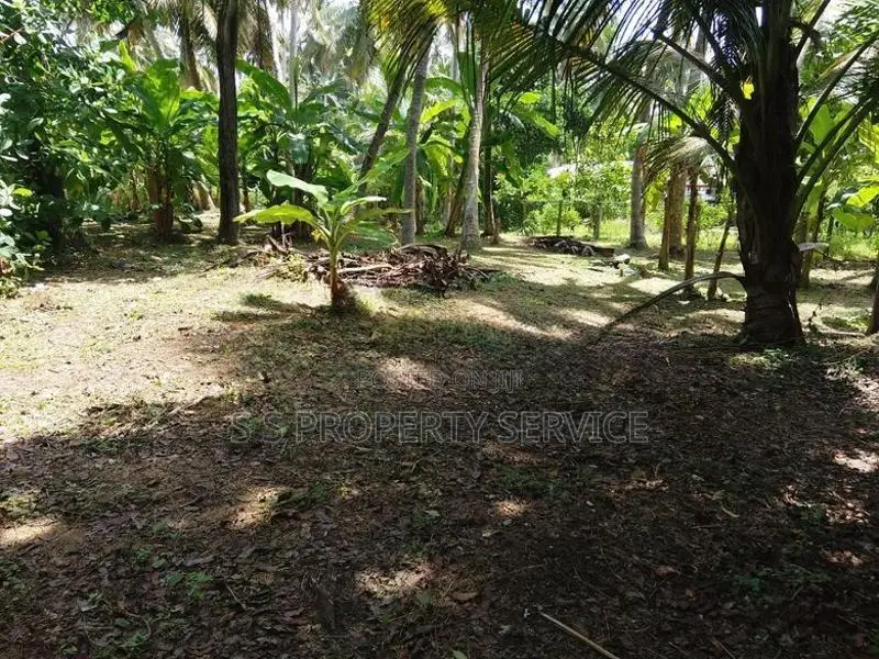 Nainamadama - 60 Perches Land for Sale (SSPL-479)