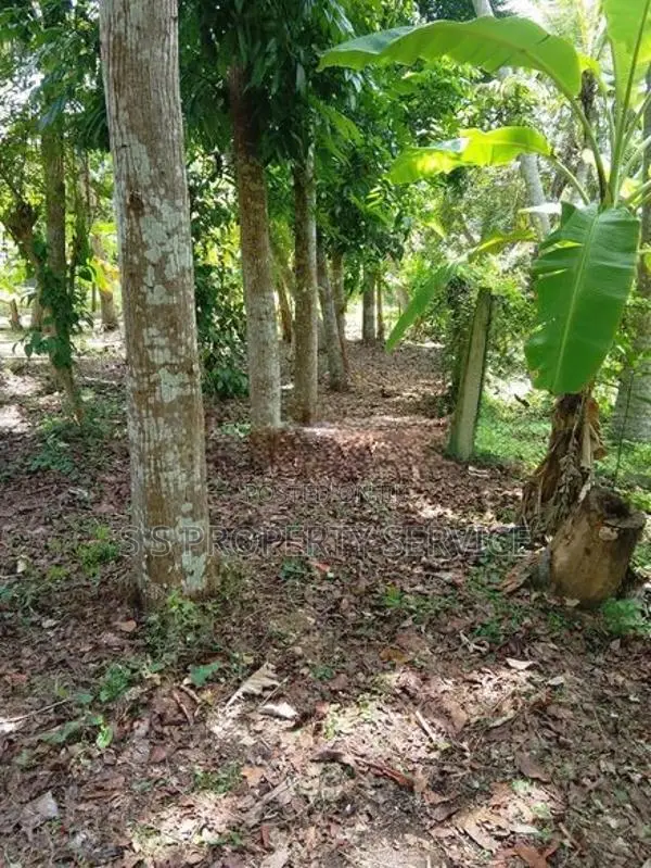 Nainamadama - 60 Perches Land for Sale (SSPL-479)