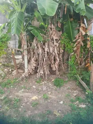 Land For Sale In Kohuwala