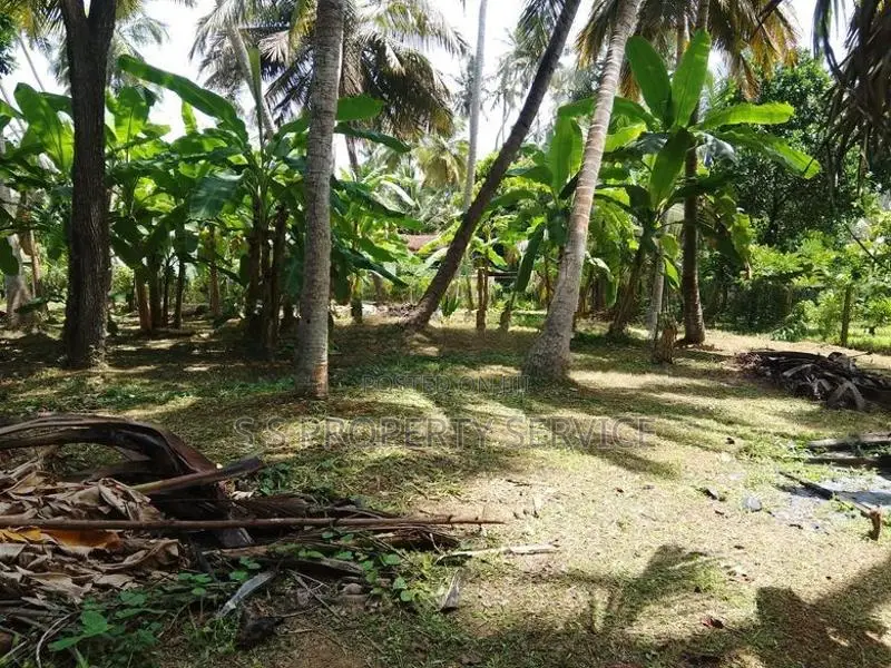 Nainamadama - 60 Perches Land for Sale (SSPL-479)