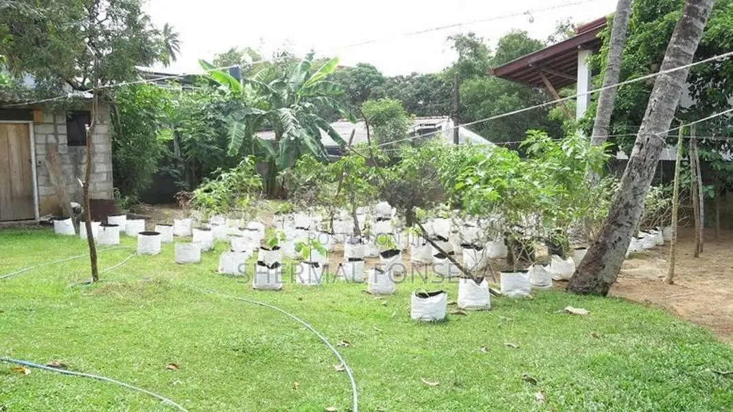 Mahabage Welisara Nagoda 2nd house and land from main road for sale
