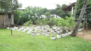 Mahabage Welisara Nagoda 2nd house and land from main road for sale