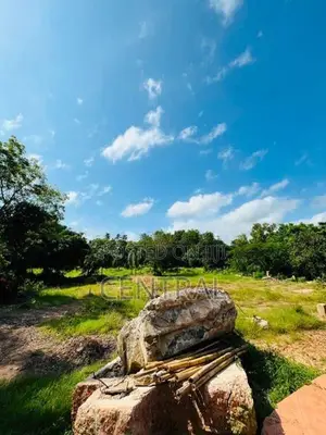 Prime 5 Acres Land for Sale In Wennappuwa (C7-10330)